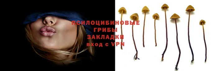 меф Надым