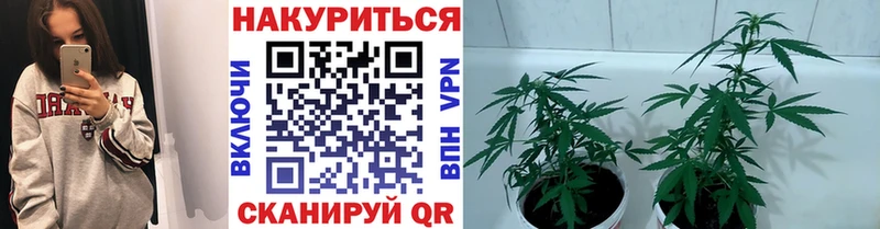 Каннабис конопля Долгопрудный